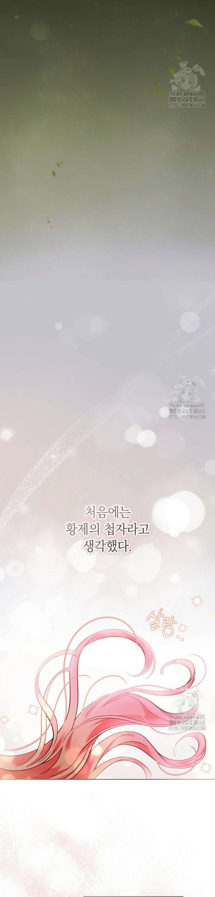 힐링물 속 피폐 엑스트라가 되었다 17화 4