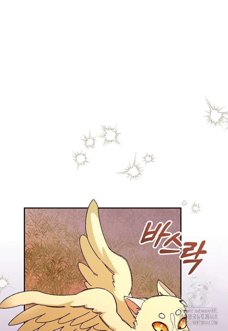 남편을 고를 때는 신중하게 79화 45