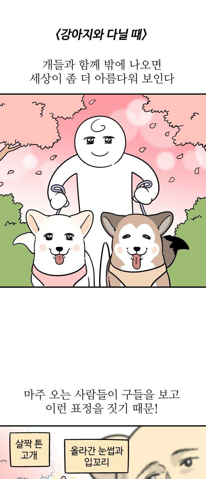 노곤하개 쇼츠 강아지와 다닐 때 2