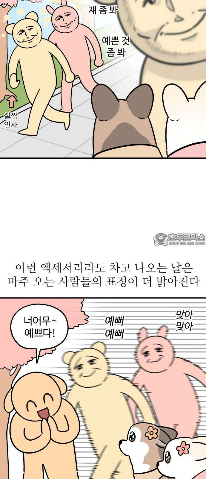 노곤하개 쇼츠 강아지와 다닐 때 3