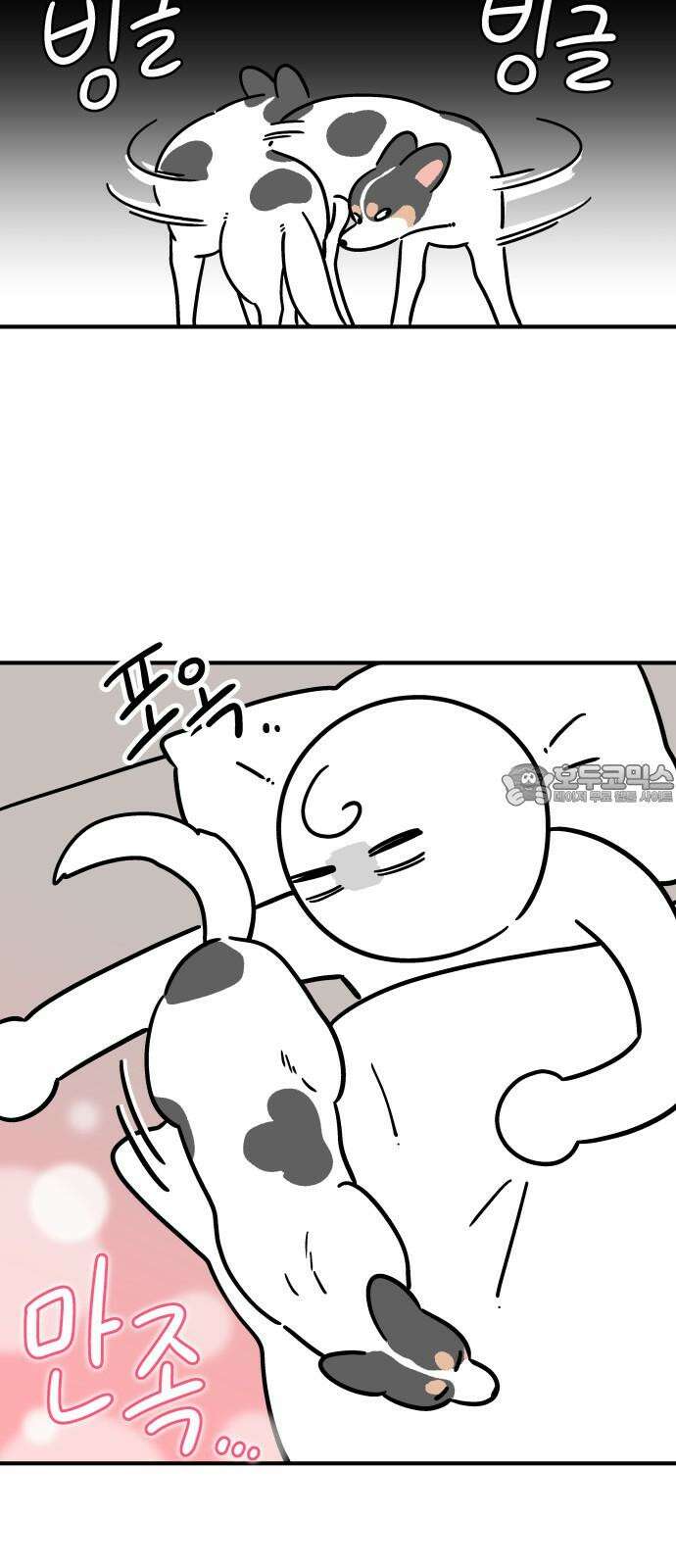 노곤하개 쇼츠 강아지와 다닐 때 12