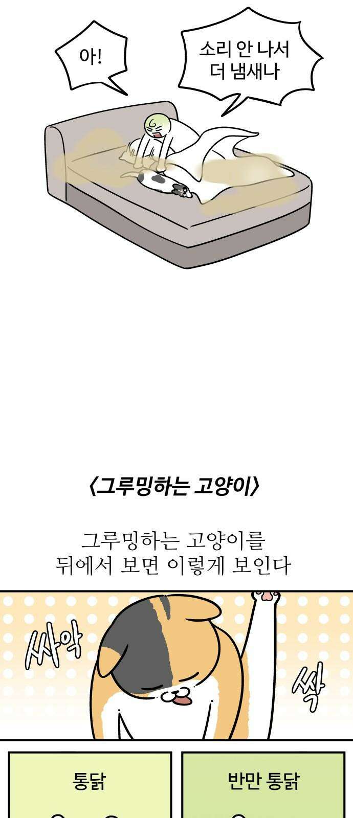 노곤하개 쇼츠 강아지와 다닐 때 14