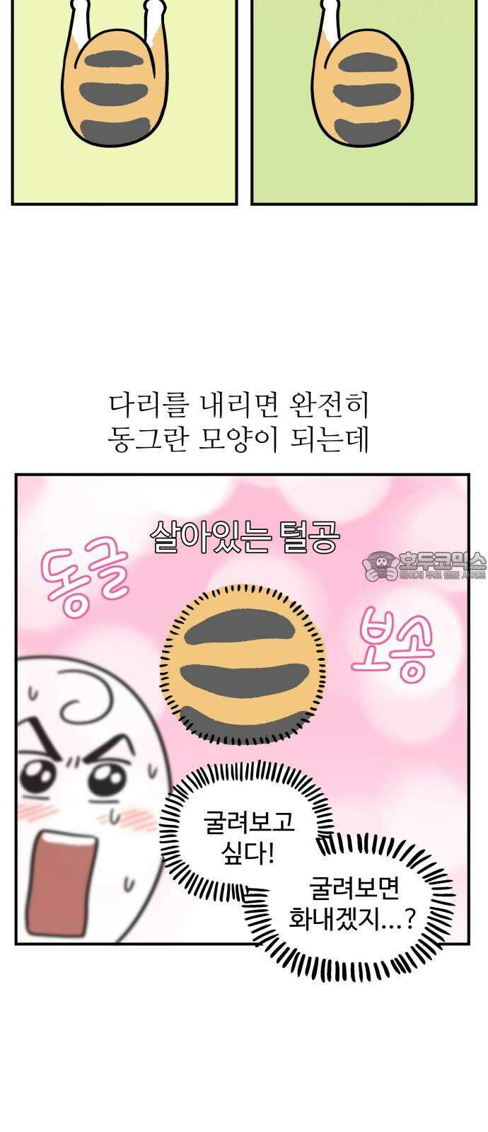 노곤하개 쇼츠 강아지와 다닐 때 15