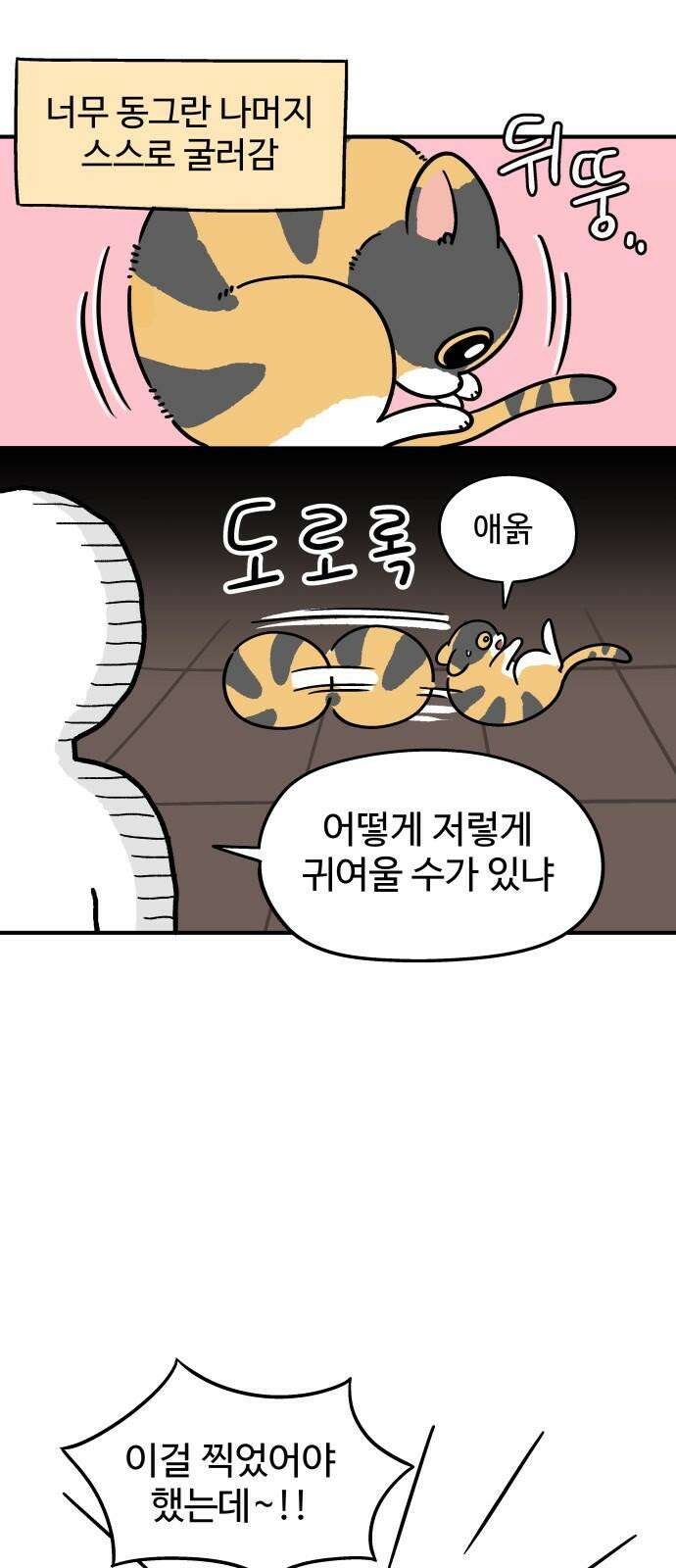 노곤하개 쇼츠 강아지와 다닐 때 16