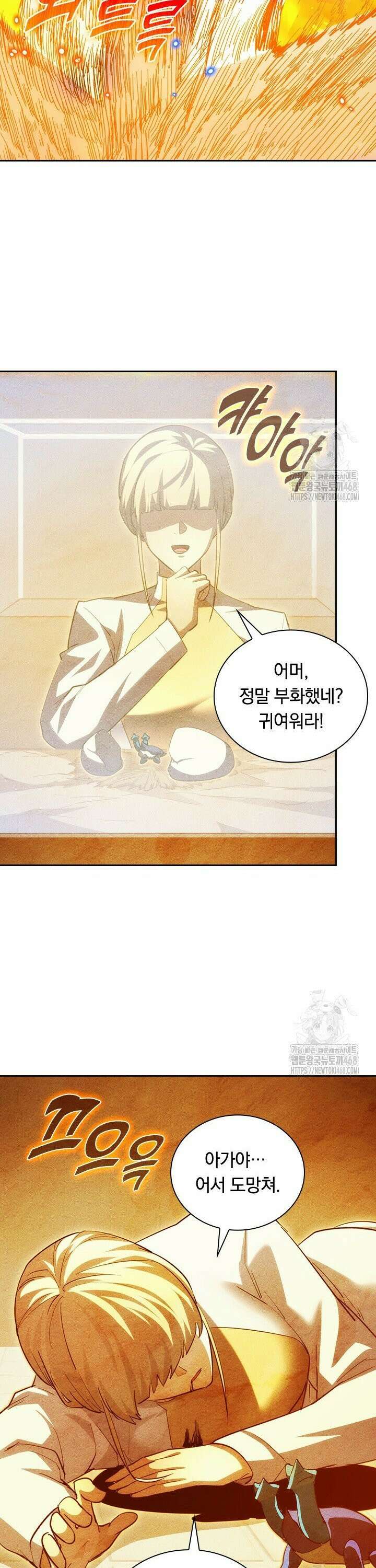 전설 헌터로 키워지는 중입니다 266화 23