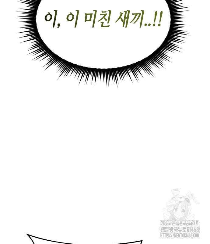 주먹 쓰는 천재 마법사 9화 155