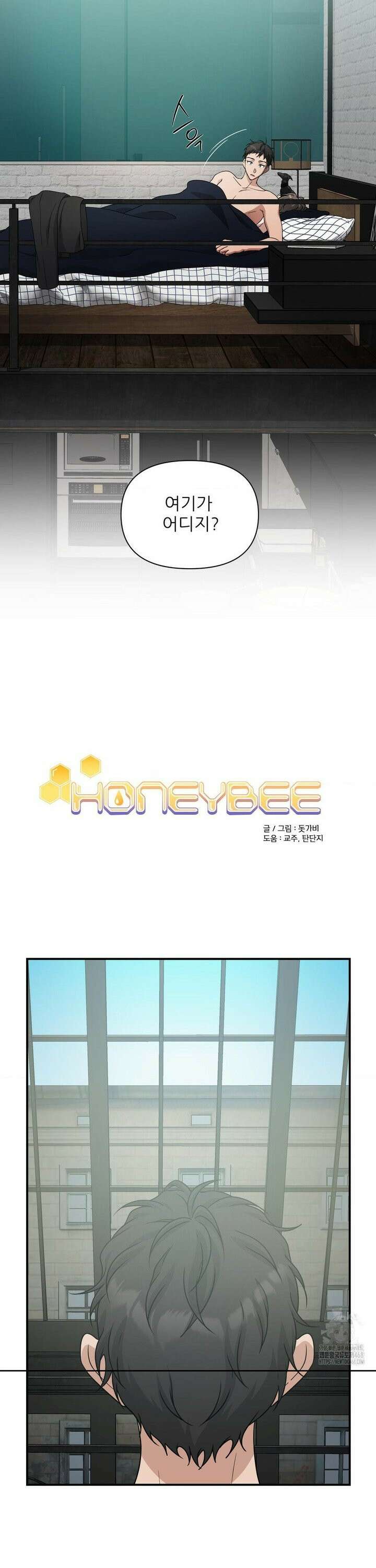 HONEYBEE (허니비) 5화 2