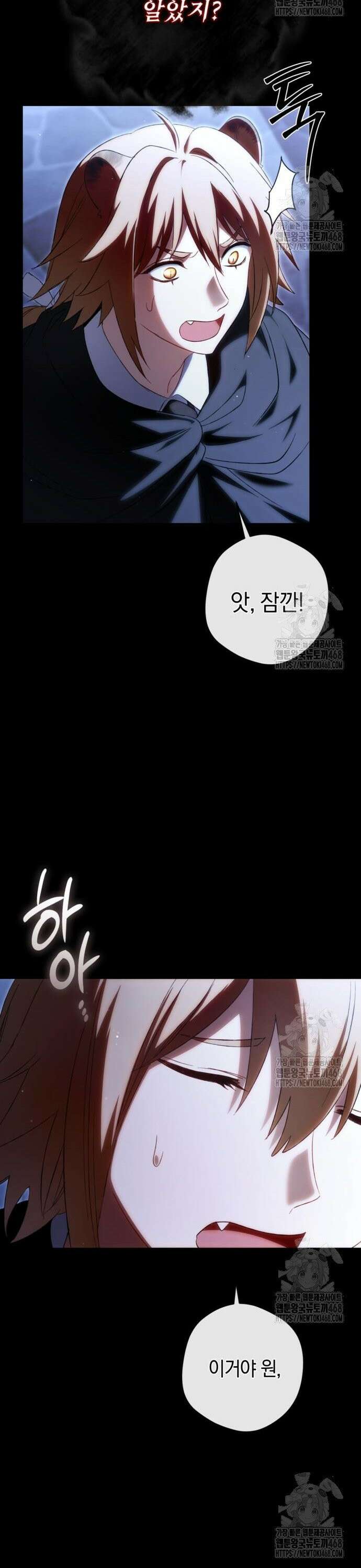 악역 폭군이 회귀해 버렸다 41화 40