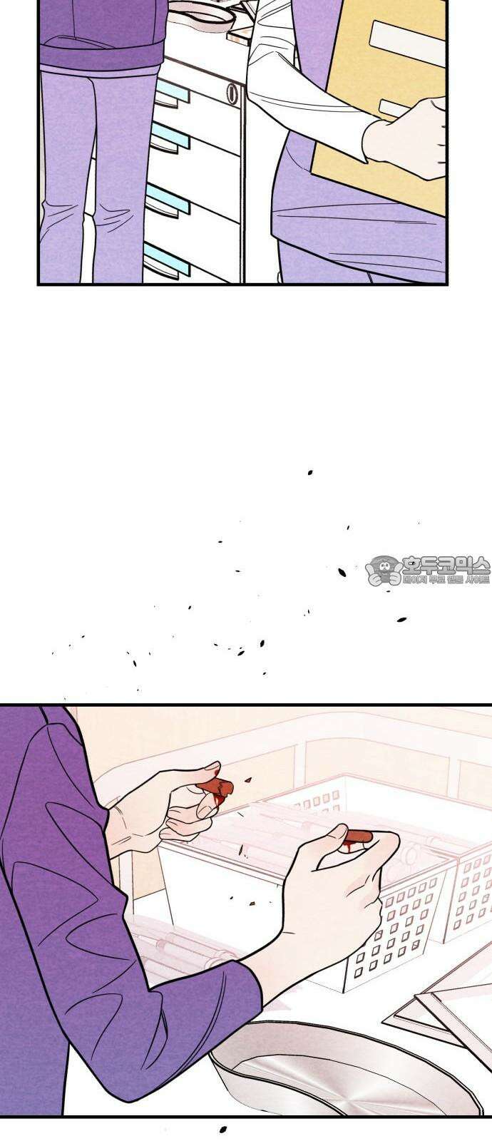 4년 6개월을 잃은 여자 17화 내가 필요하지 않다면． 12