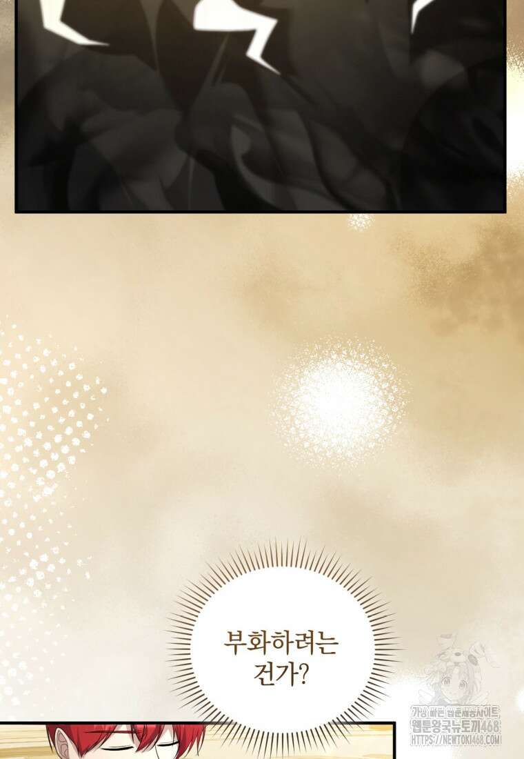 빼앗긴 가문의 주인이 되려 합니다 90화 22