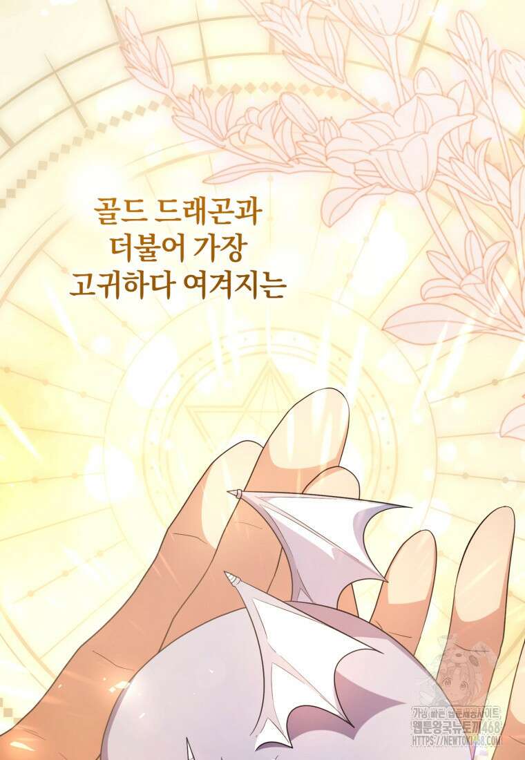 빼앗긴 가문의 주인이 되려 합니다 90화 31