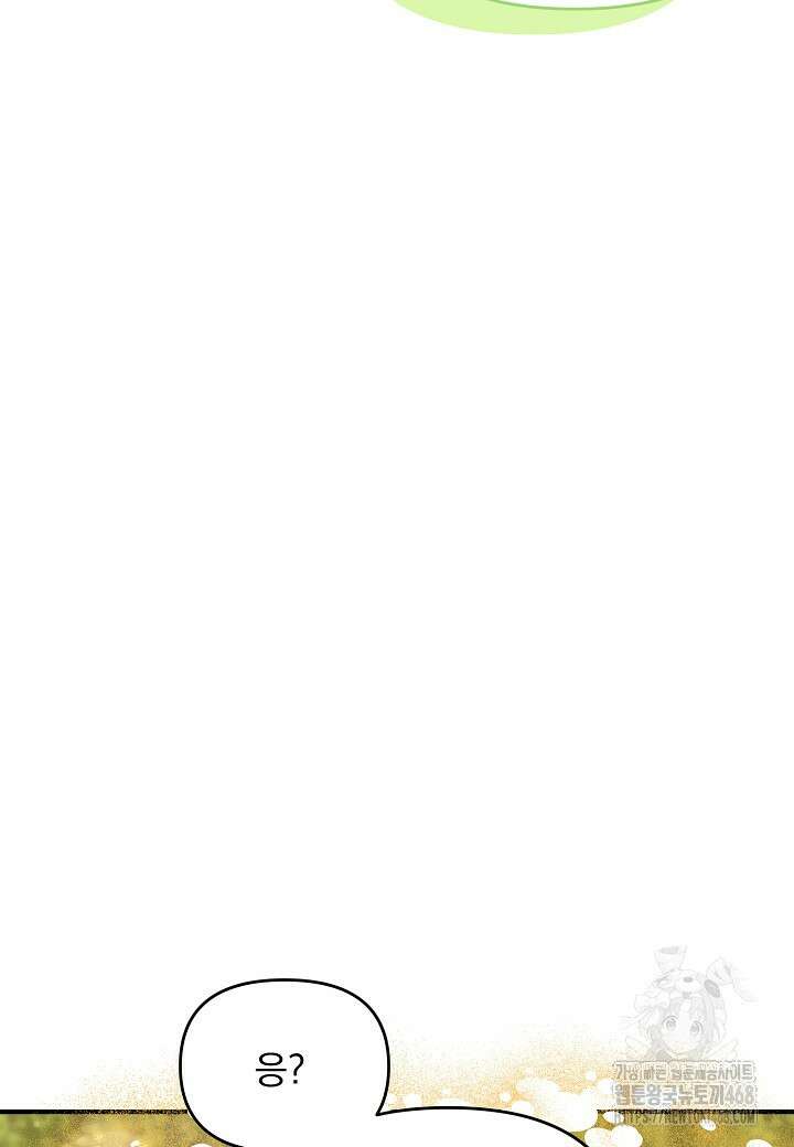 전쟁광 남편의 아이를 빼돌렸다 119화 36