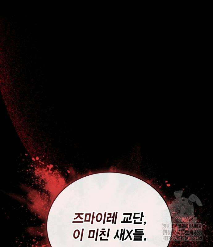 야매 힐러로 사는 법 96화 15