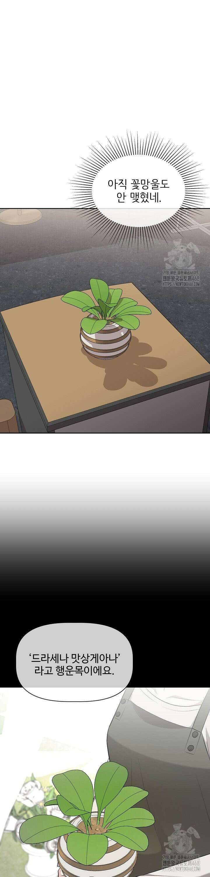 홍 비서에게서 살아남는 법 10화 4