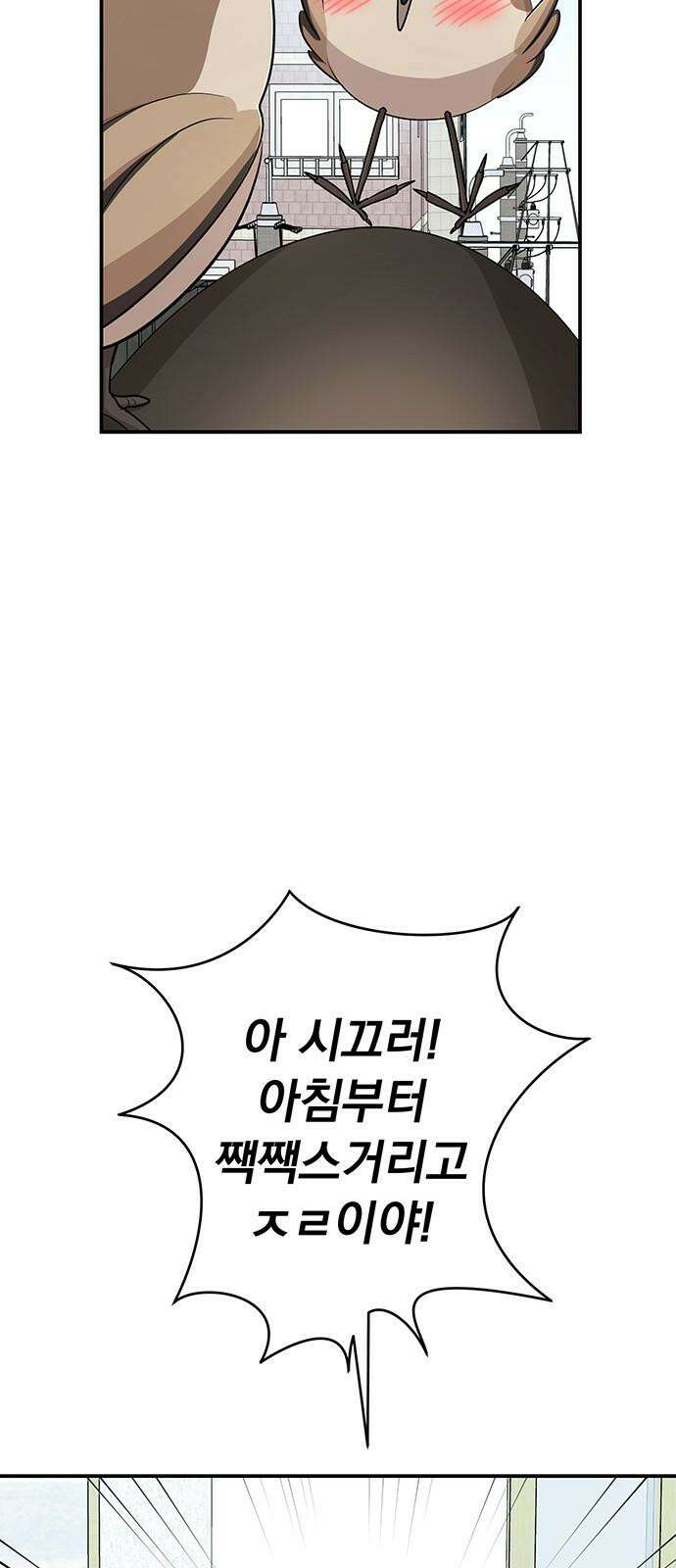 연애 생각은 없지만 61화 짹짹스 4