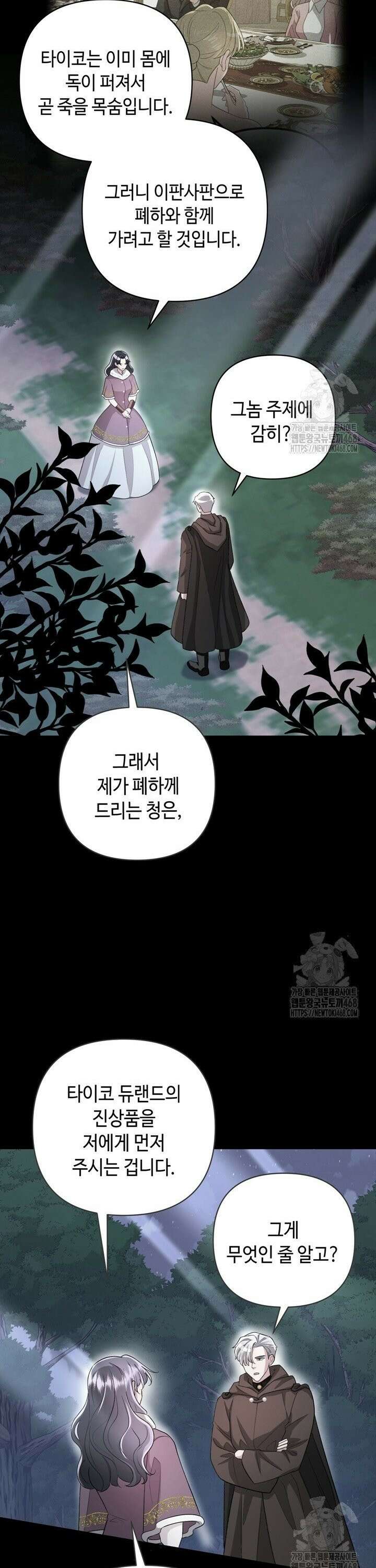 몰락한 왕녀에게는 회귀가 필요합니다 8화 14