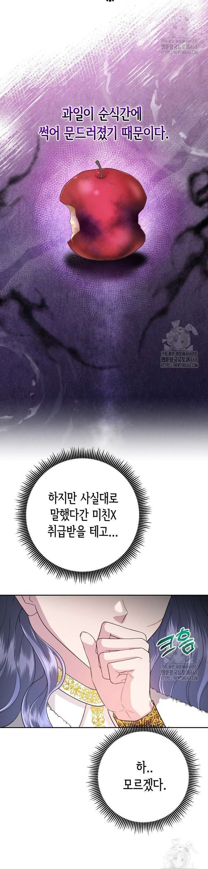 몰락한 왕녀에게는 회귀가 필요합니다 8화 18