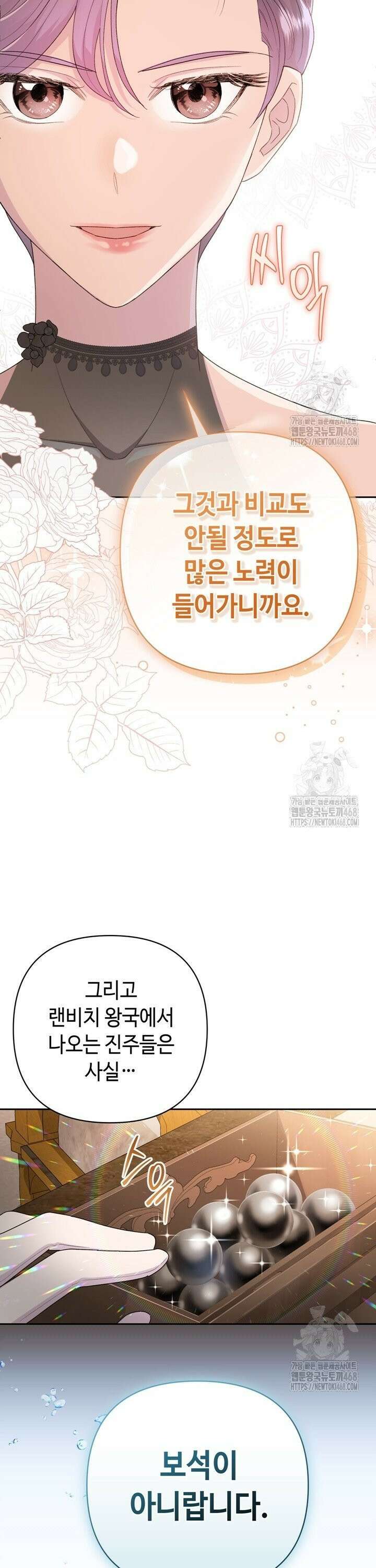 몰락한 왕녀에게는 회귀가 필요합니다 18화 9