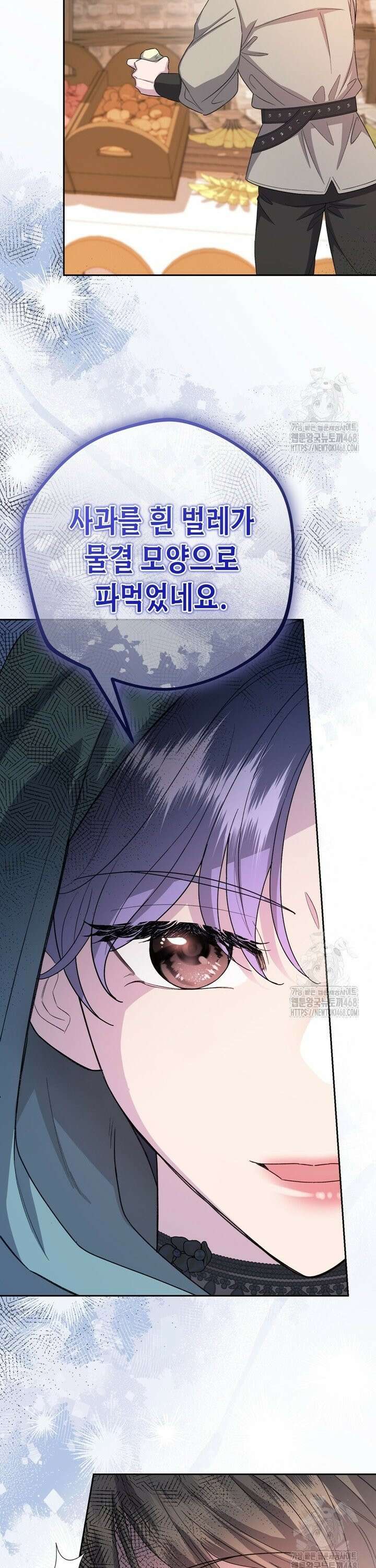 몰락한 왕녀에게는 회귀가 필요합니다 18화 19