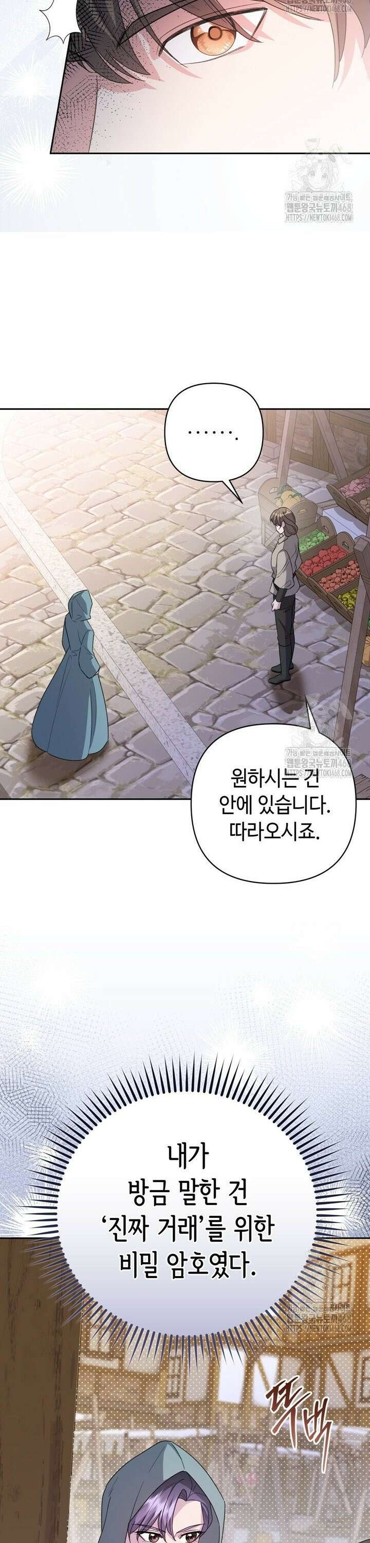 몰락한 왕녀에게는 회귀가 필요합니다 18화 20