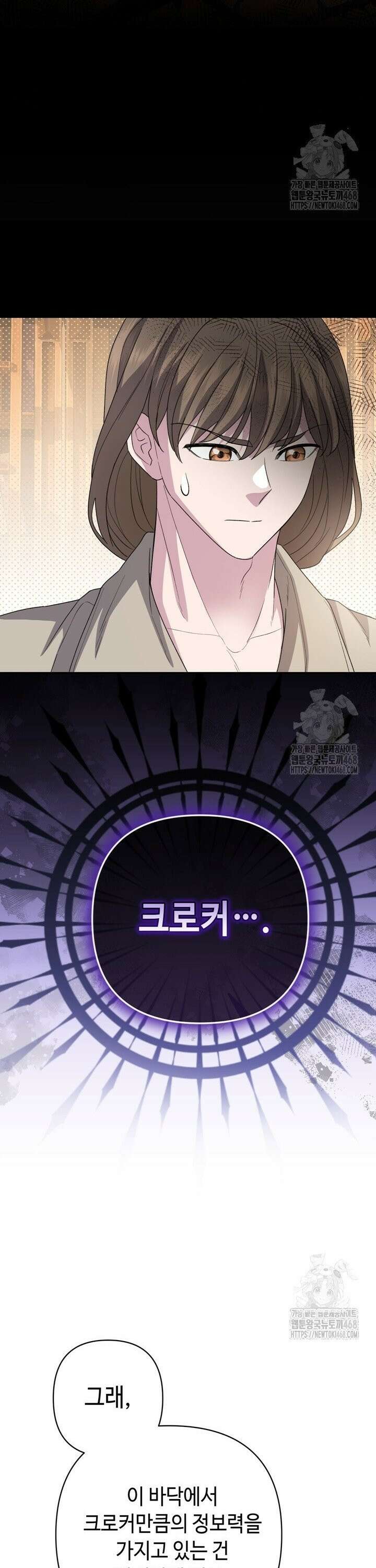 몰락한 왕녀에게는 회귀가 필요합니다 18화 29