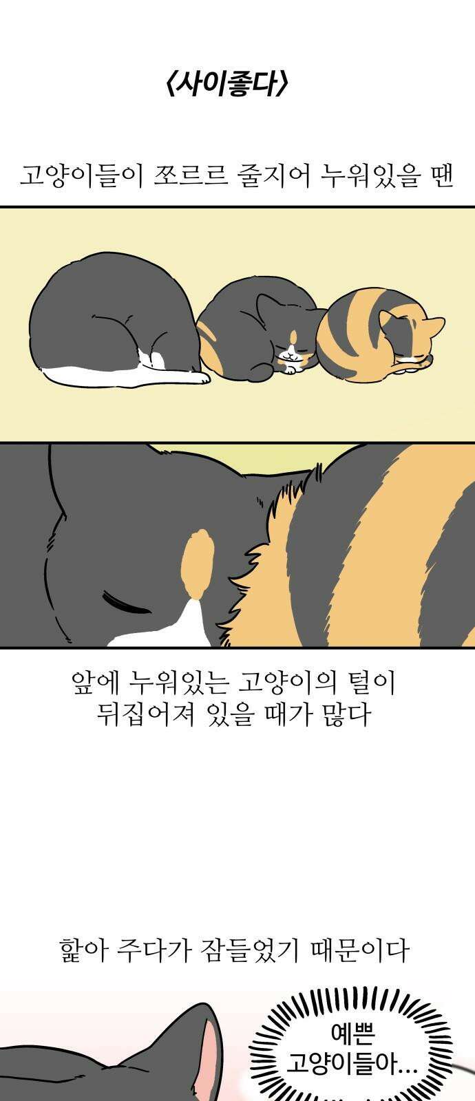 노곤하개 쇼츠 사이좋다 2