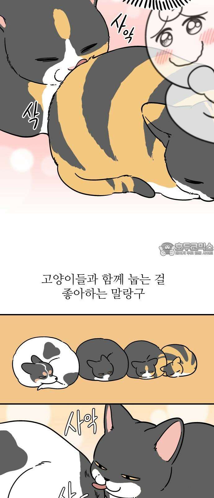노곤하개 쇼츠 사이좋다 3