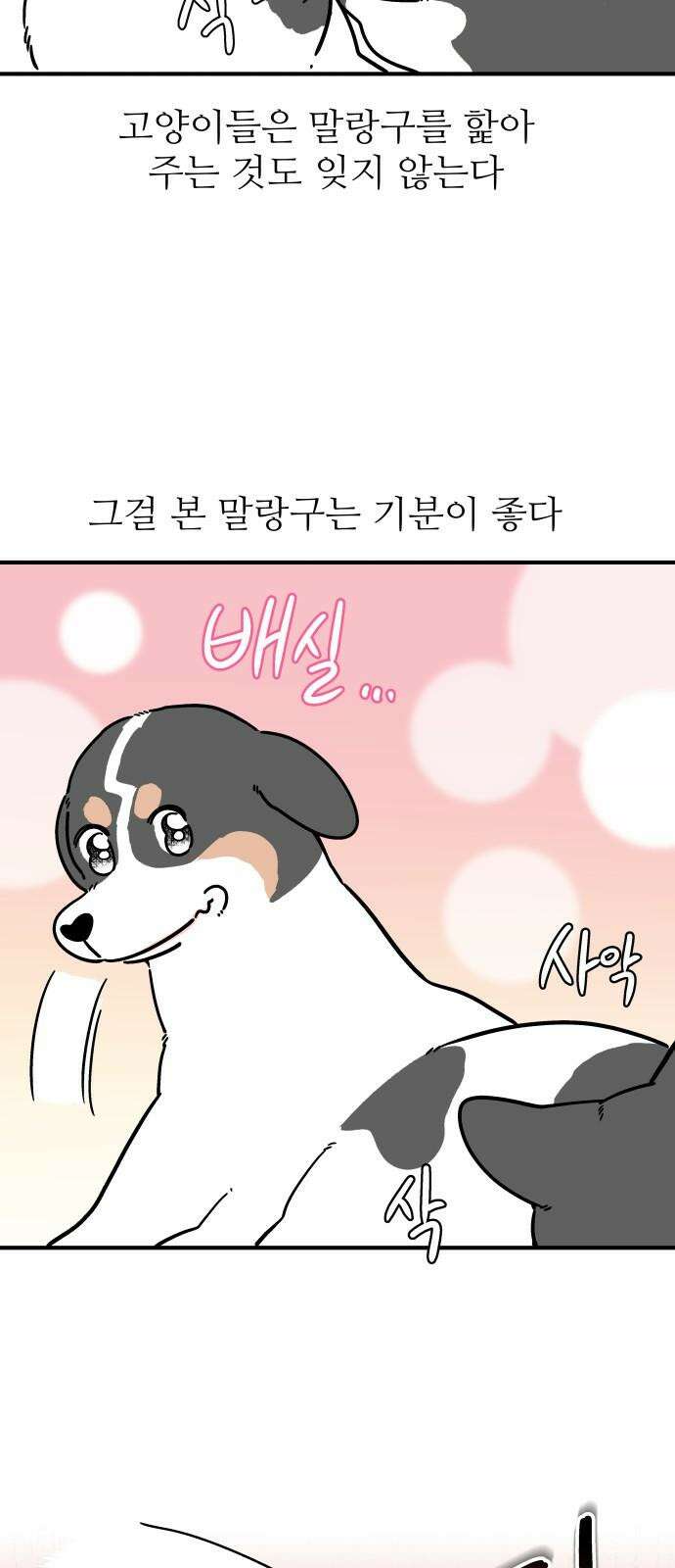 노곤하개 쇼츠 사이좋다 4