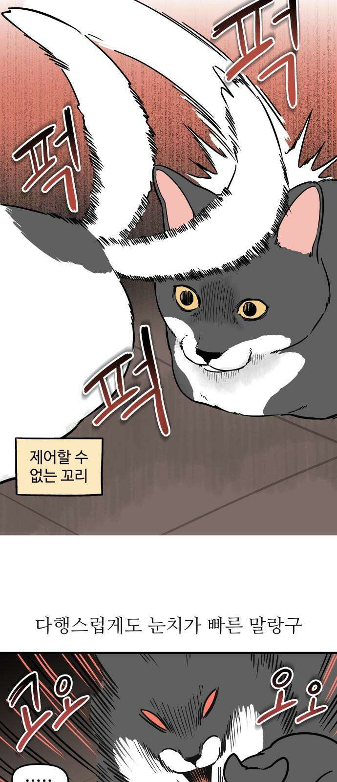 노곤하개 쇼츠 사이좋다 5