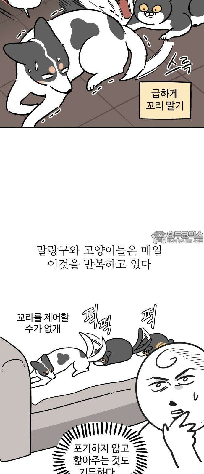 노곤하개 쇼츠 사이좋다 6