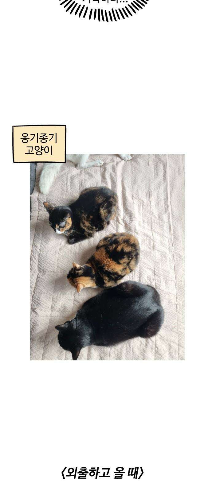 노곤하개 쇼츠 사이좋다 7