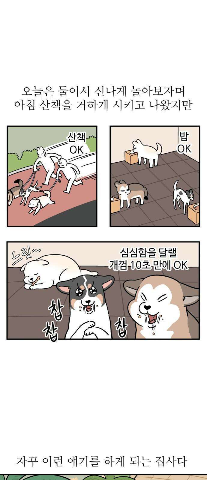 노곤하개 쇼츠 사이좋다 10