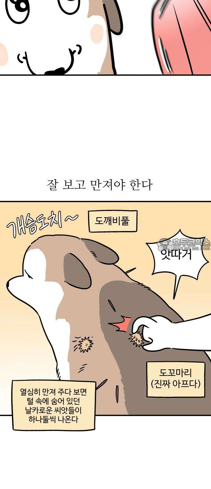 노곤하개 쇼츠 사이좋다 15