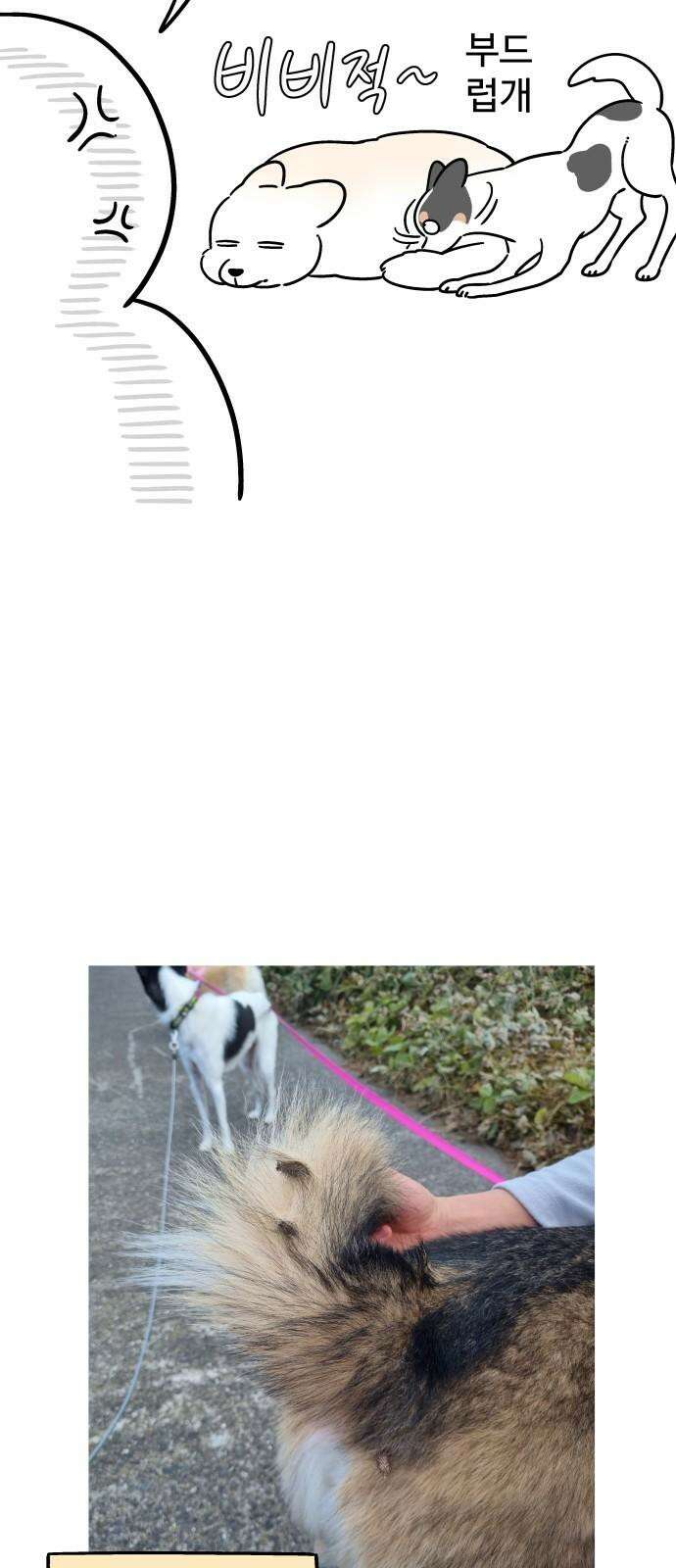 노곤하개 쇼츠 사이좋다 17