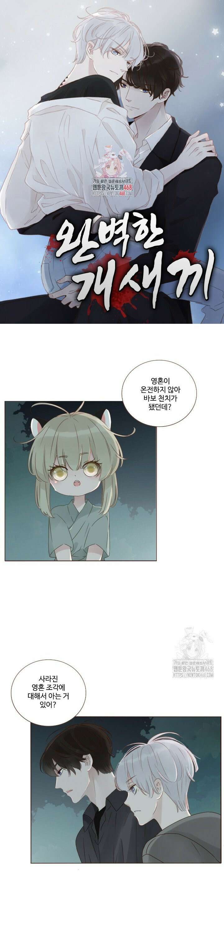 완벽한 개새끼 91화 1