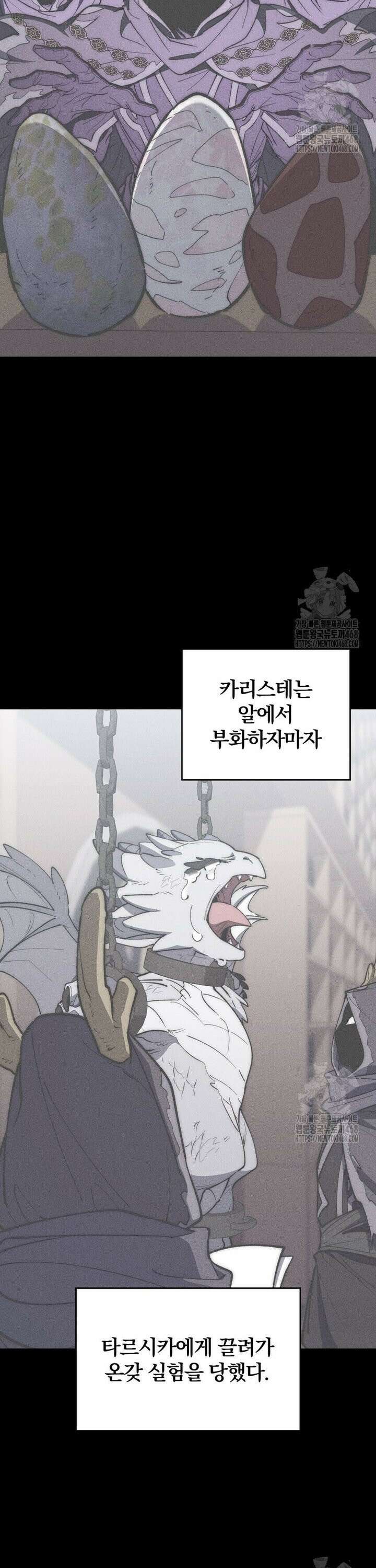 최강 던전을 위하여 26화 5