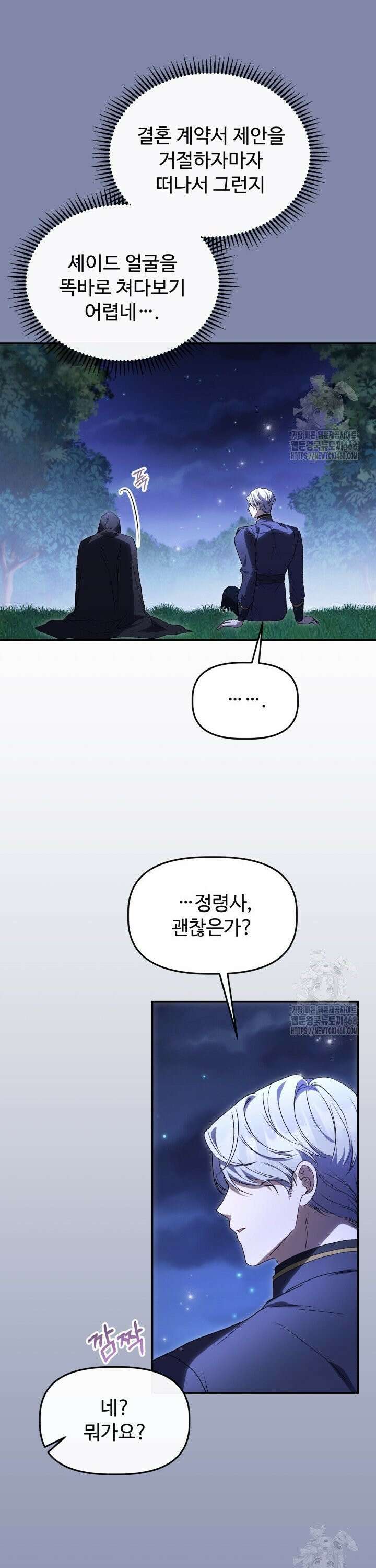 아젤다 : 정령사의 계약 결혼 43화 4