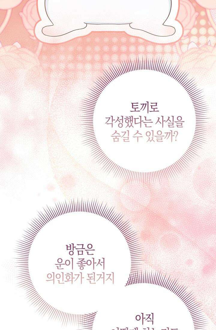 토끼라뇨, 누가 봐도 맹수인데 2화 19