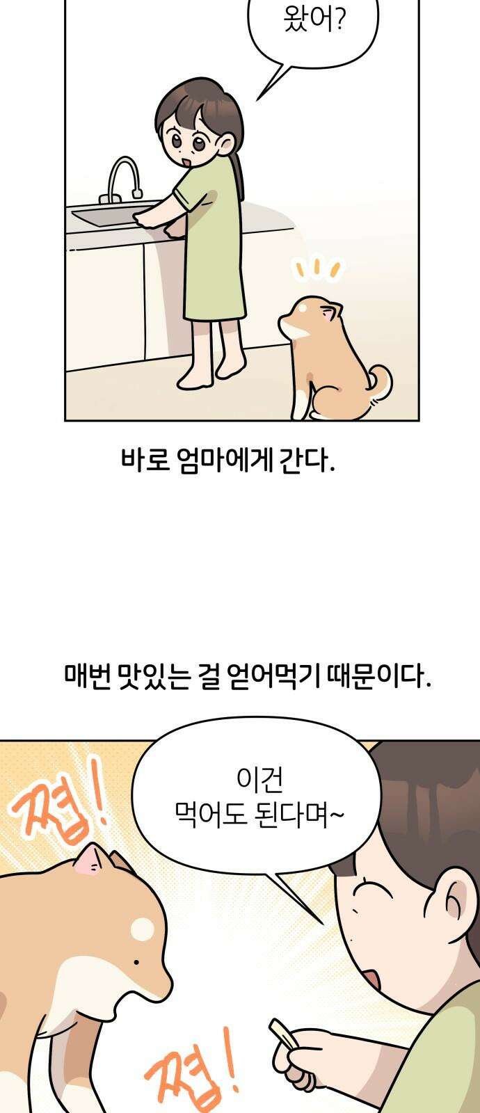 시바, 만만치 않다 43화 집에 놀러가요 7