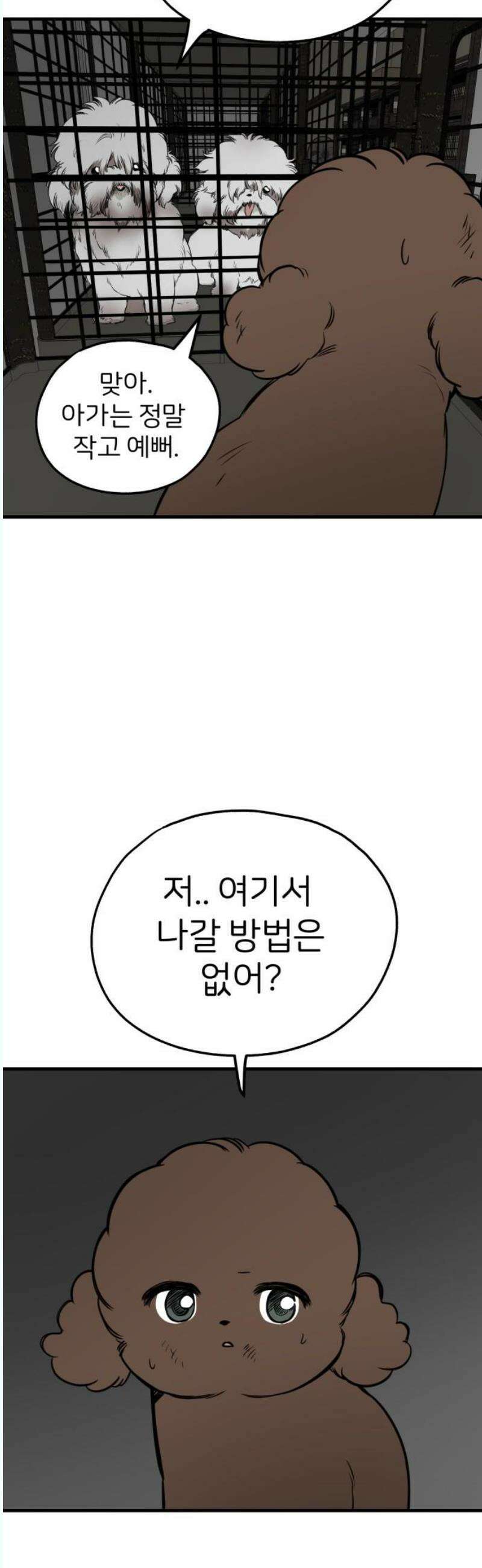 개같이 탈출 87화 6
