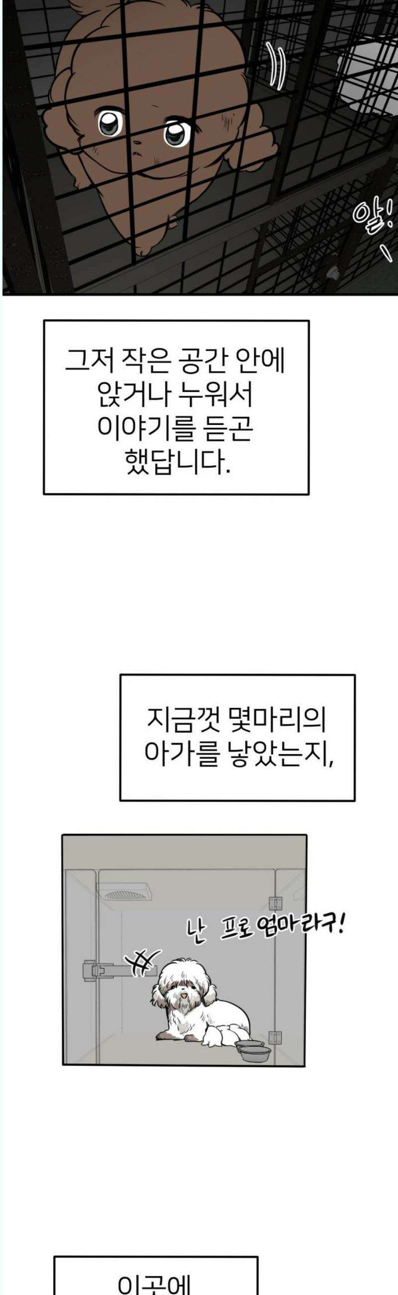 개같이 탈출 87화 10