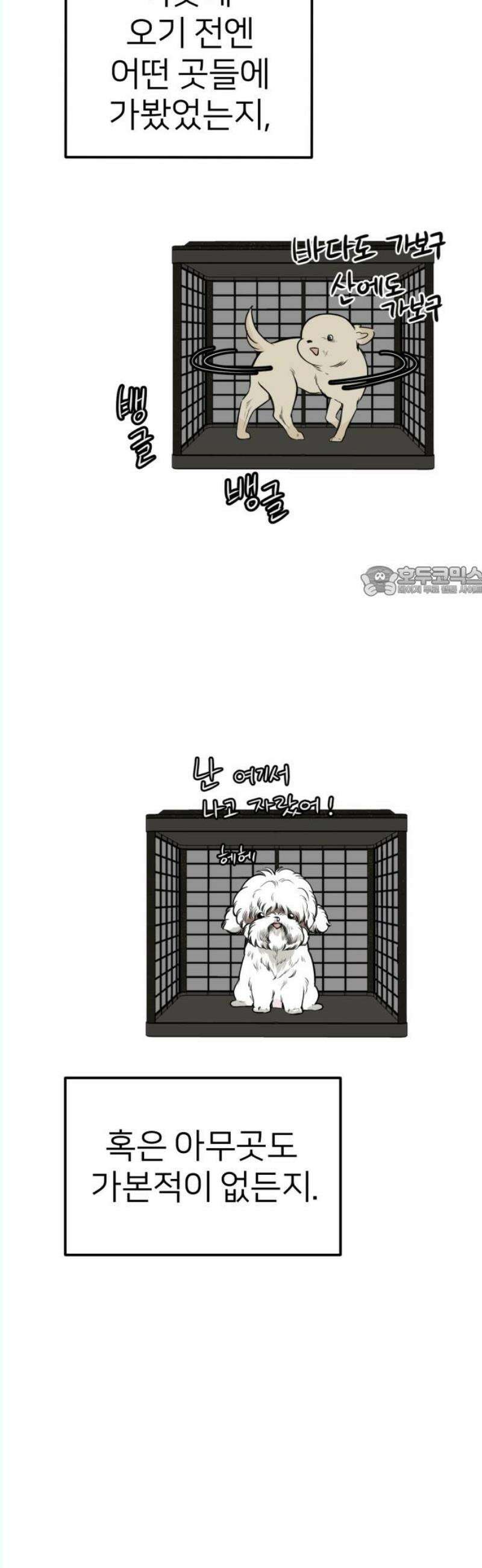 개같이 탈출 87화 11
