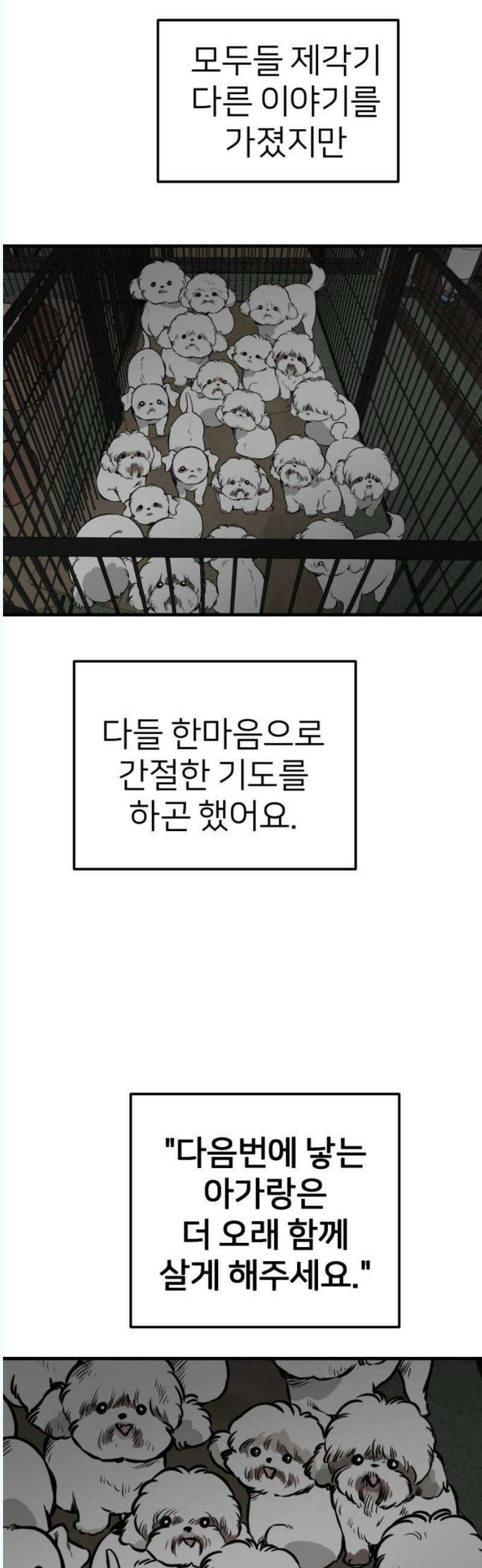 개같이 탈출 87화 12