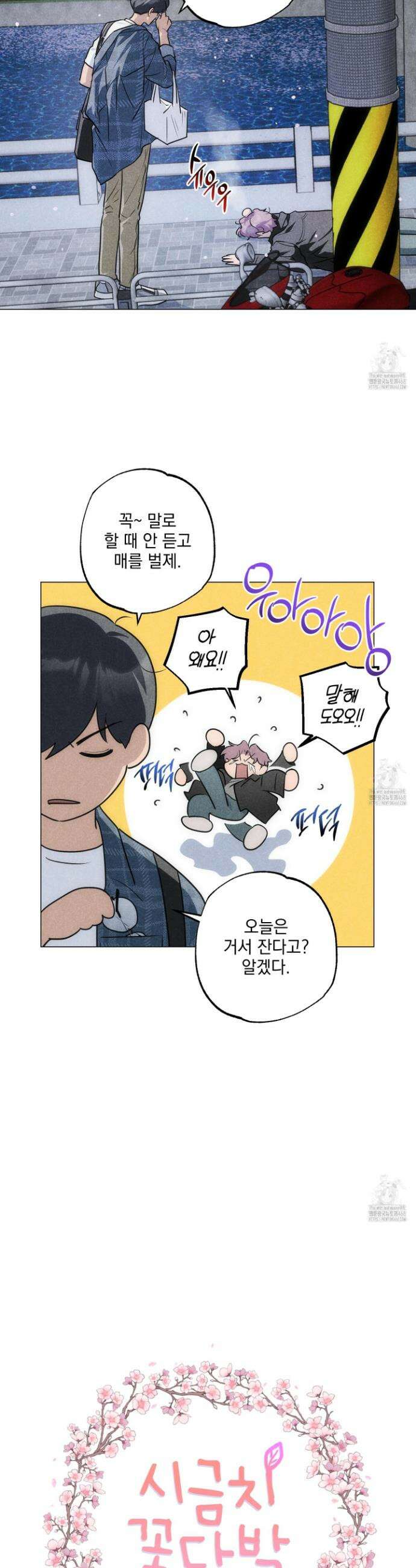 시금치 꽃다발 외전B-9화 5