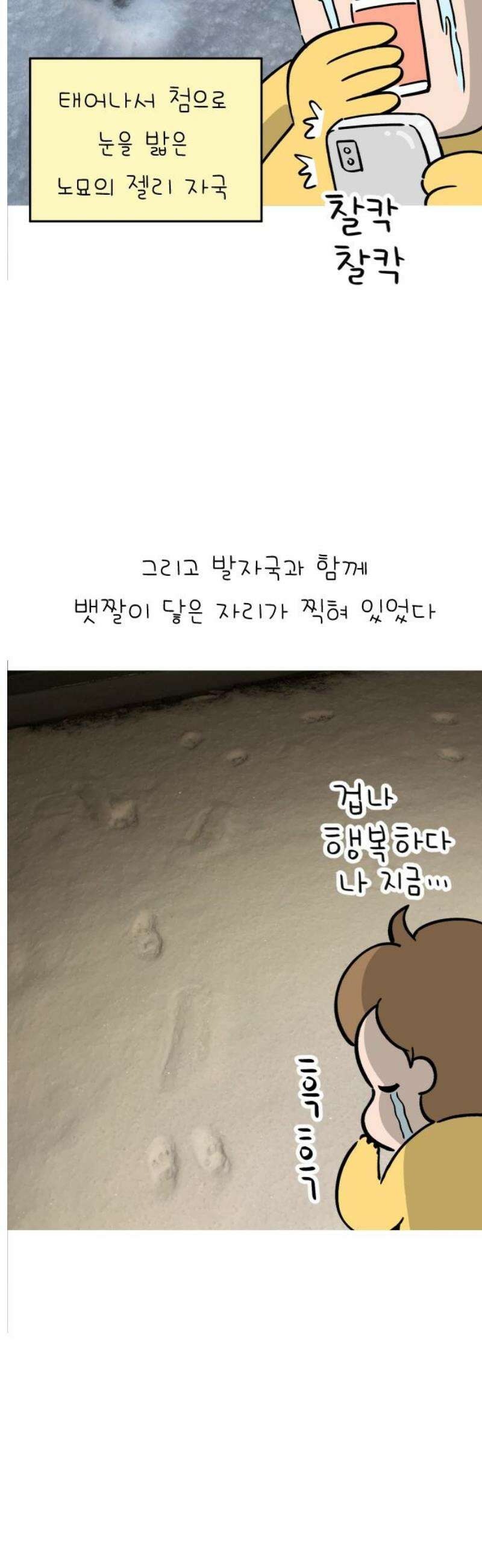 낢이 사는 이야기 - 계속되는 미미한 인생 [마지막화] 걷는 그 길 꽃길이 아닐지라도 14