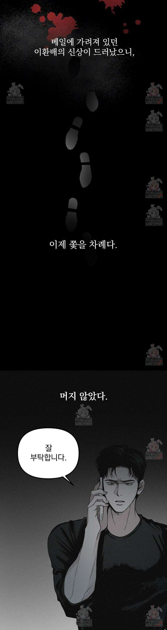 프로젝션  36화 5