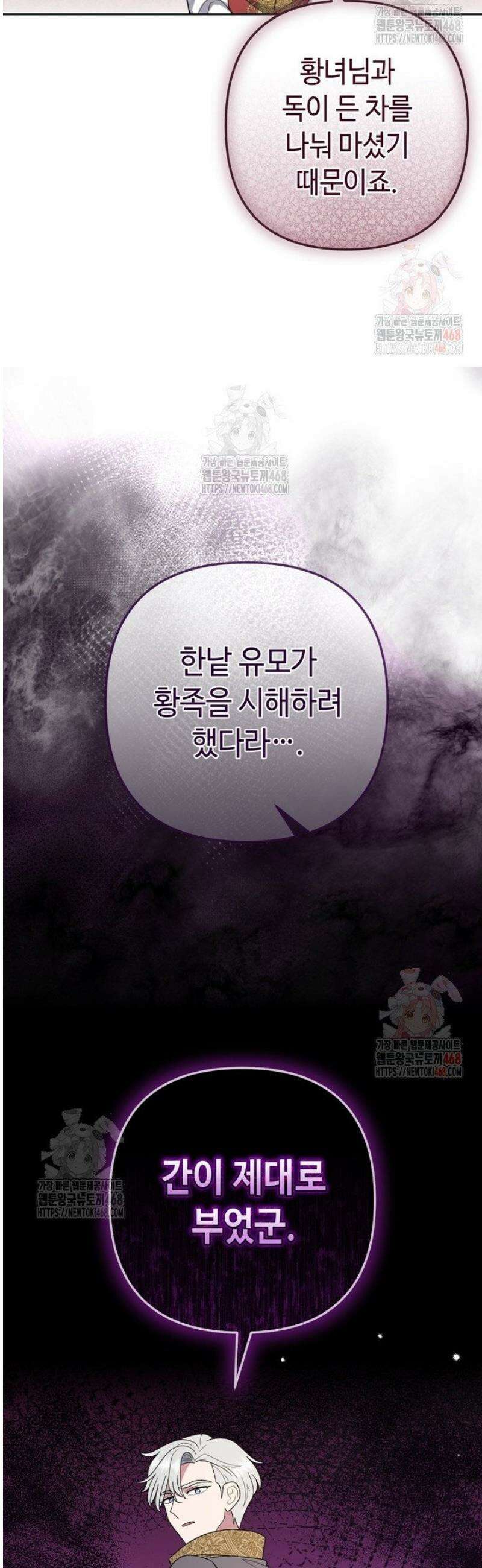 몰락한 왕녀에게는 회귀가 필요합니다 34화 46