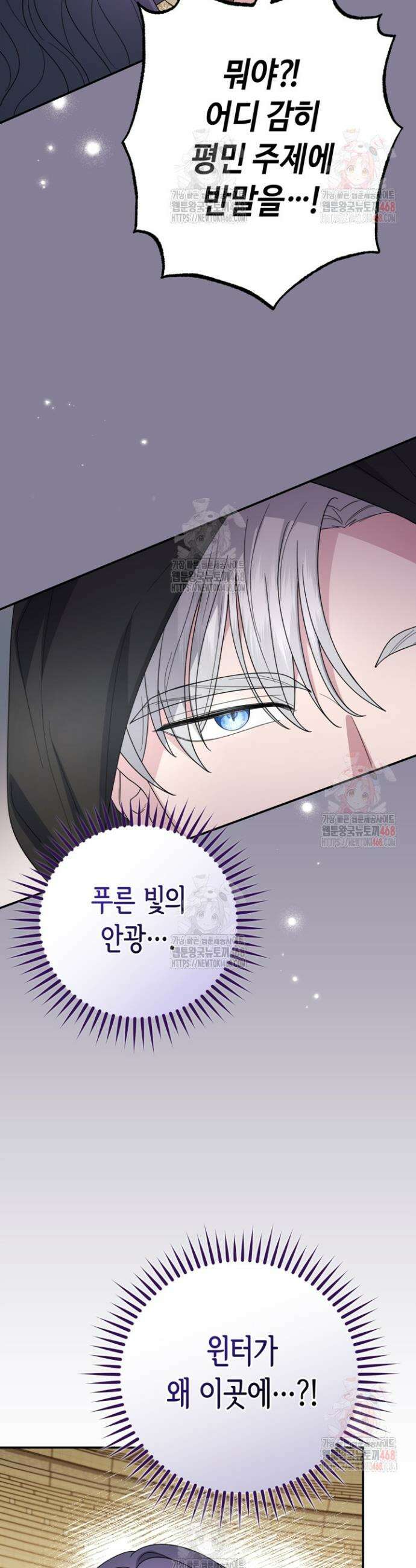 몰락한 왕녀에게는 회귀가 필요합니다 36화 29