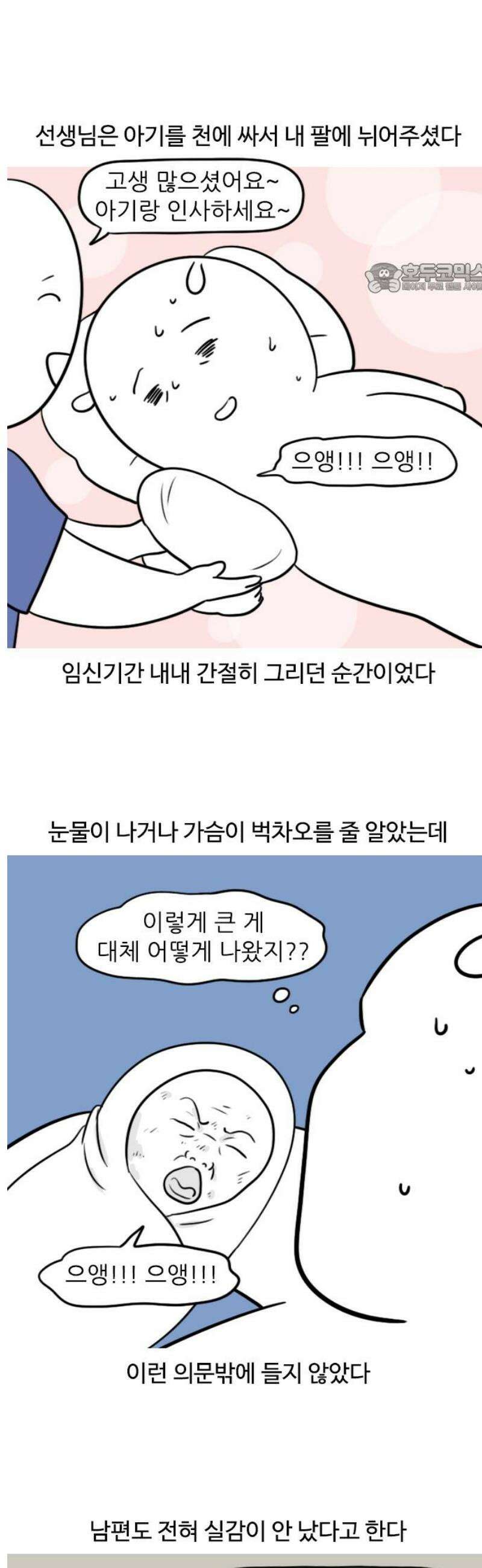 육아일기 65화 출산(3) 2