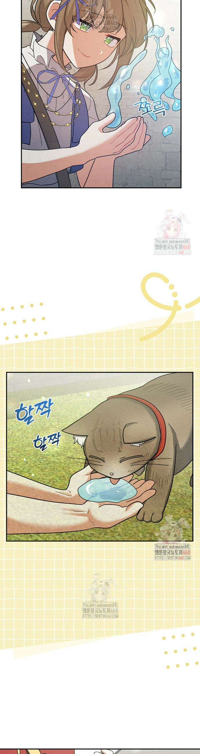 한 줄짜리 영애였을 터 234화 31